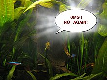 img_6156.jpg