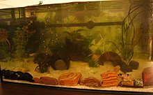 img_3012.jpg