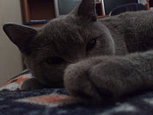 02122009018.jpg
