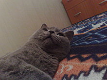 02122009026.jpg