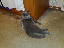 02122009035.jpg