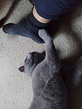 12122009113.jpg