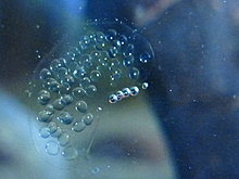 2009-12-19-09-36-53.jpg