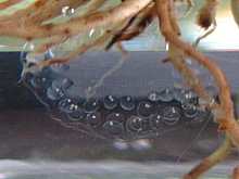 2009-12-19-10-12-18.jpg