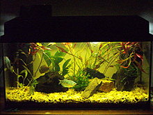 dscf4472.jpg