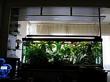 auqamonk_img_6568.jpg