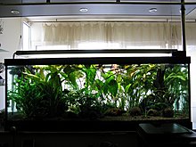 auqamonk_img_6569.jpg
