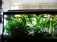 auqamonk_img_6572.jpg