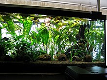 auqamonk_img_6574.jpg
