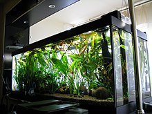 auqamonk_img_6575.jpg