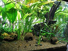 auqamonk_img_6579.jpg