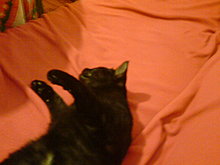 dsc00424.jpg
