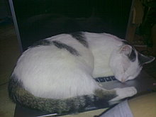 03012010010.jpg