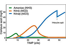 grafic_evolutie_amoniac_nitriti_nitrati.jpg