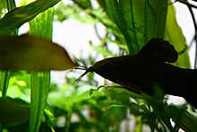 aquamonk_img_0789.jpg