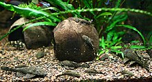 aquamonk_img_0880.jpg