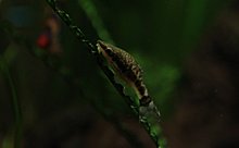 aquamonk_img_5534.jpg
