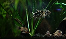 aquamonk_img_6786.jpg