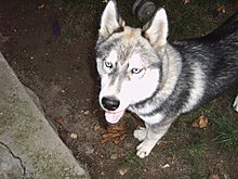 img00018.jpg