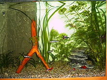 pict0099.jpg