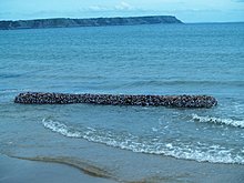 1265785036_01.jpg