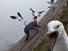 dont_mess_with_nature_01.jpg