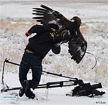 dont_mess_with_nature_04.jpg