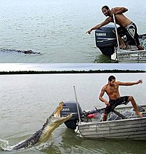 dont_mess_with_nature_06.jpg