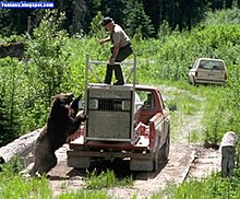 dont_mess_with_nature_09.jpg