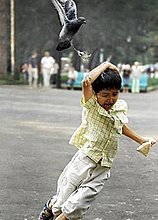 dont_mess_with_nature_13.jpg