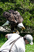 dont_mess_with_nature_14.jpg