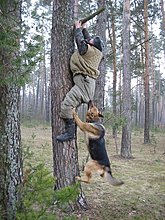 dont_mess_with_nature_16.jpg