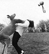 dont_mess_with_nature_17.jpg