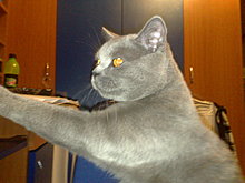 imag582.jpg