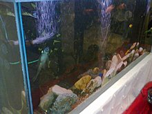 image0090.jpg