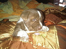 img00019-20100518-1502.jpg