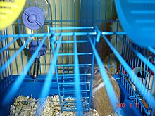 dsc00002.jpg