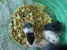 img_0203.jpg