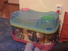 img_0088.jpg