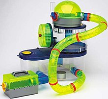 hamster-cage.jpg