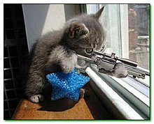 sniper-20cat.jpg