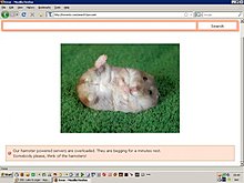 tb7_hamster.jpg