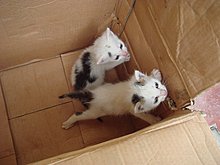 dsc07666.jpg