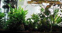 aquamonk_dupa_seceris_img_8205.jpg