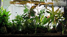 aquamonk_dupa_seceris_img_8206.jpg
