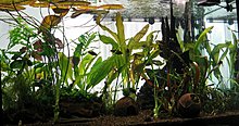 aquamonk_dupa_seceris_img_8207.jpg