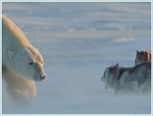 bear_friend_part_01.jpg