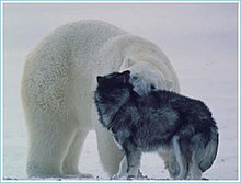 bear_friend_part_04.jpg