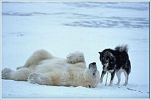 bear_friend_part_06.jpg