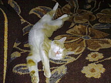 03102010565.jpg